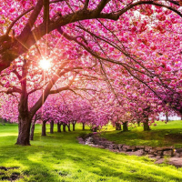 The Four Seasons - Spring